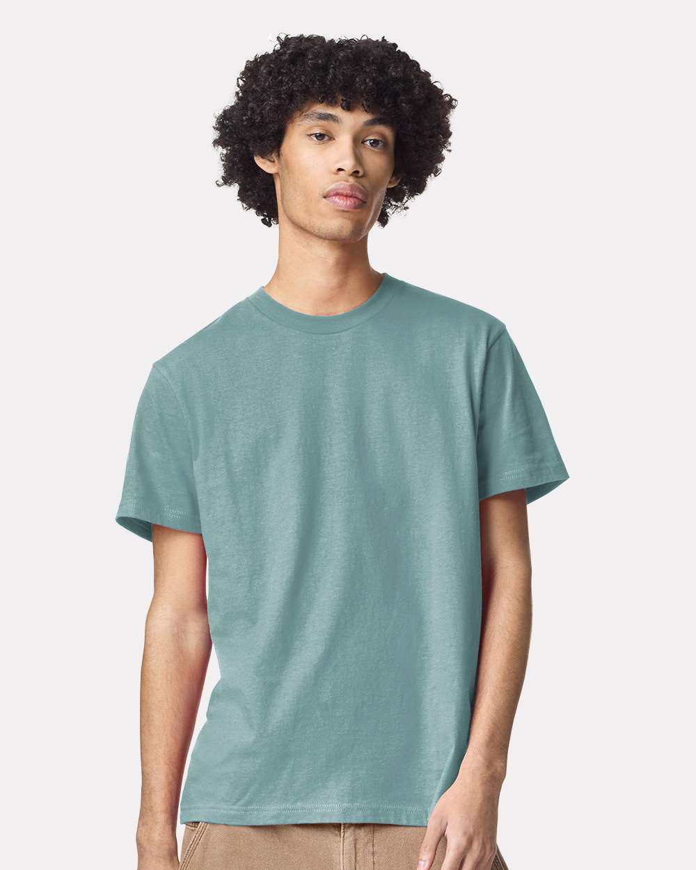Arctic — model