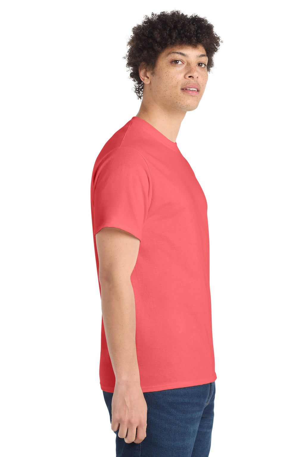 all — model