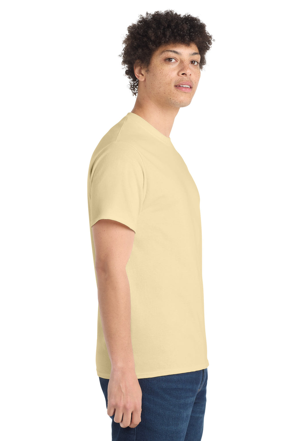 all — model