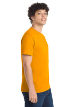 all — model