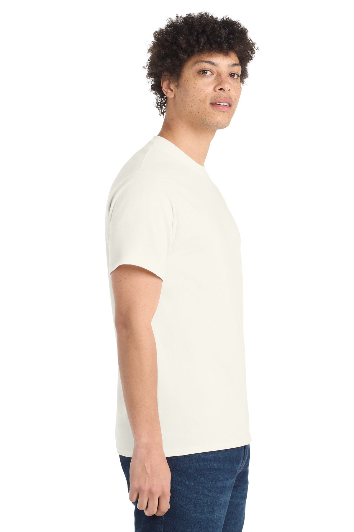 all — model
