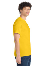 all — model