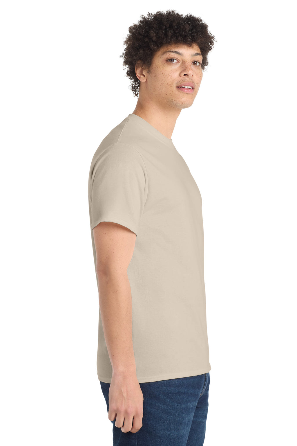 all — model