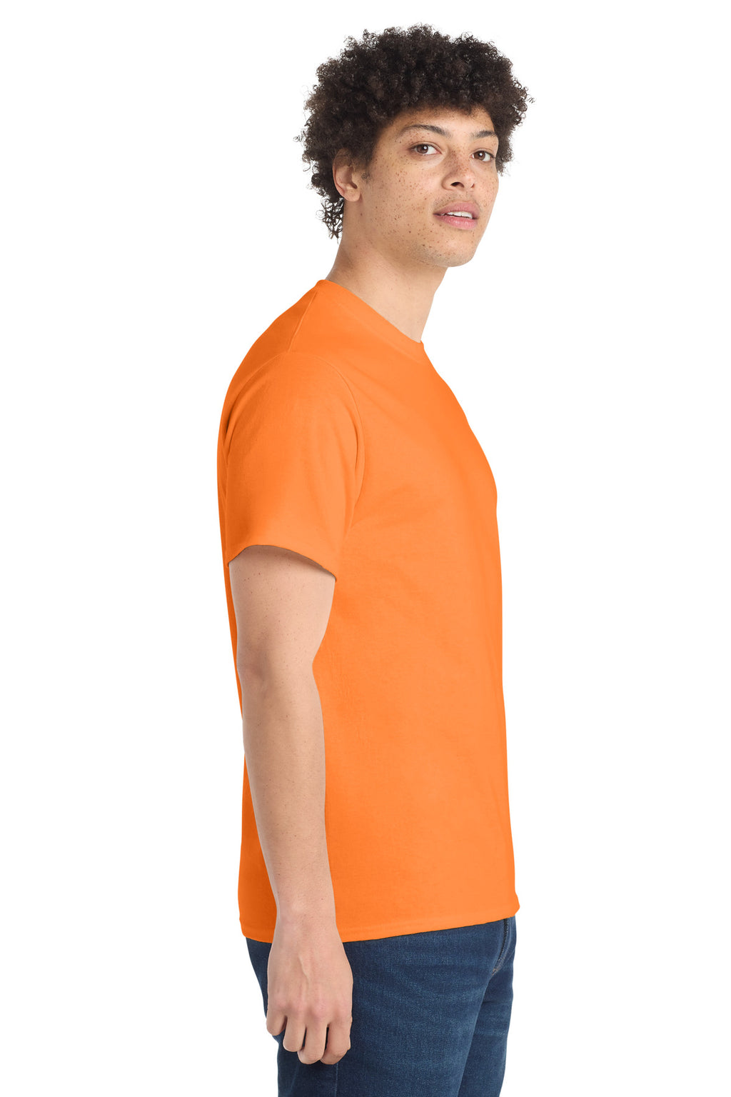 all — model