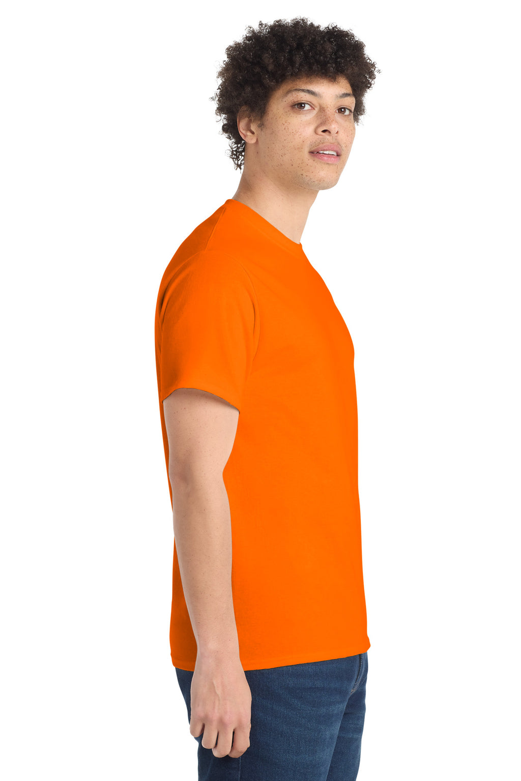 all — model