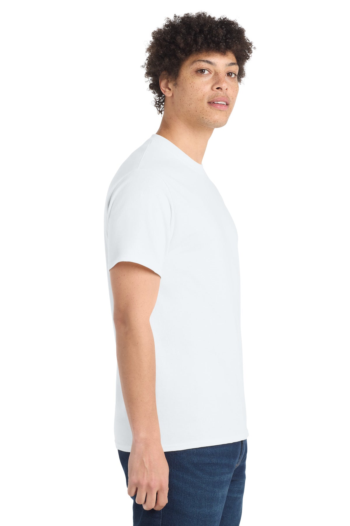 all — model